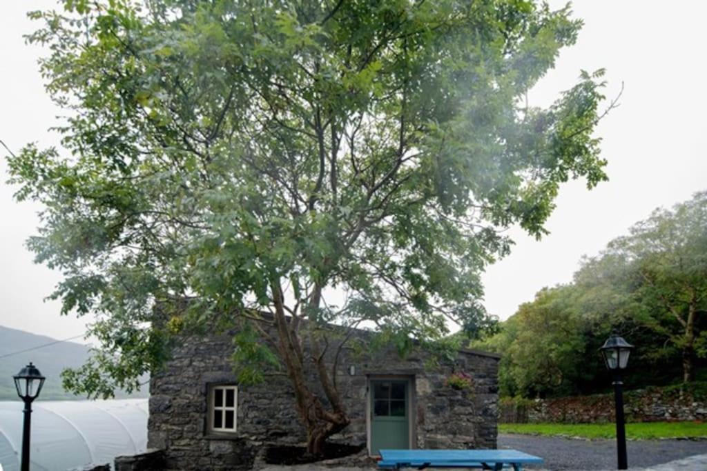 Fermoyle Properties Glynn'S Cottage Fanore エクステリア 写真
